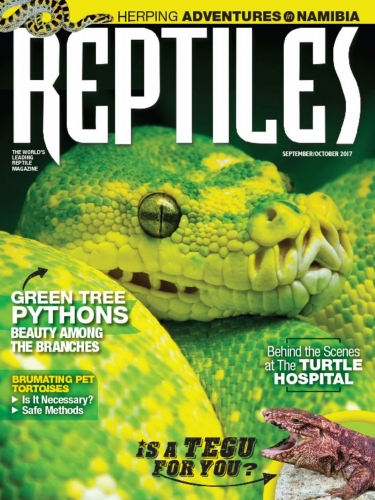 Reptiles